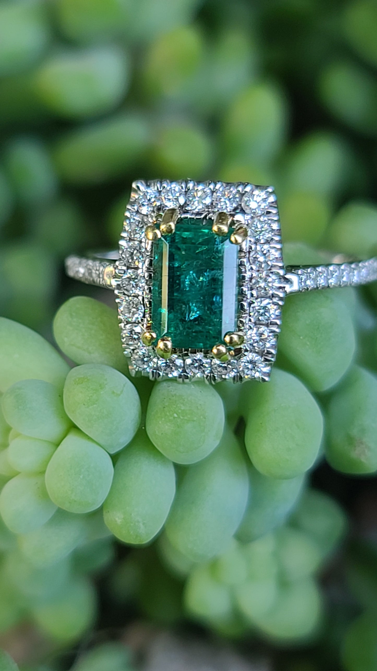 18K White Gold Emerald and Diamond Ring, size 7