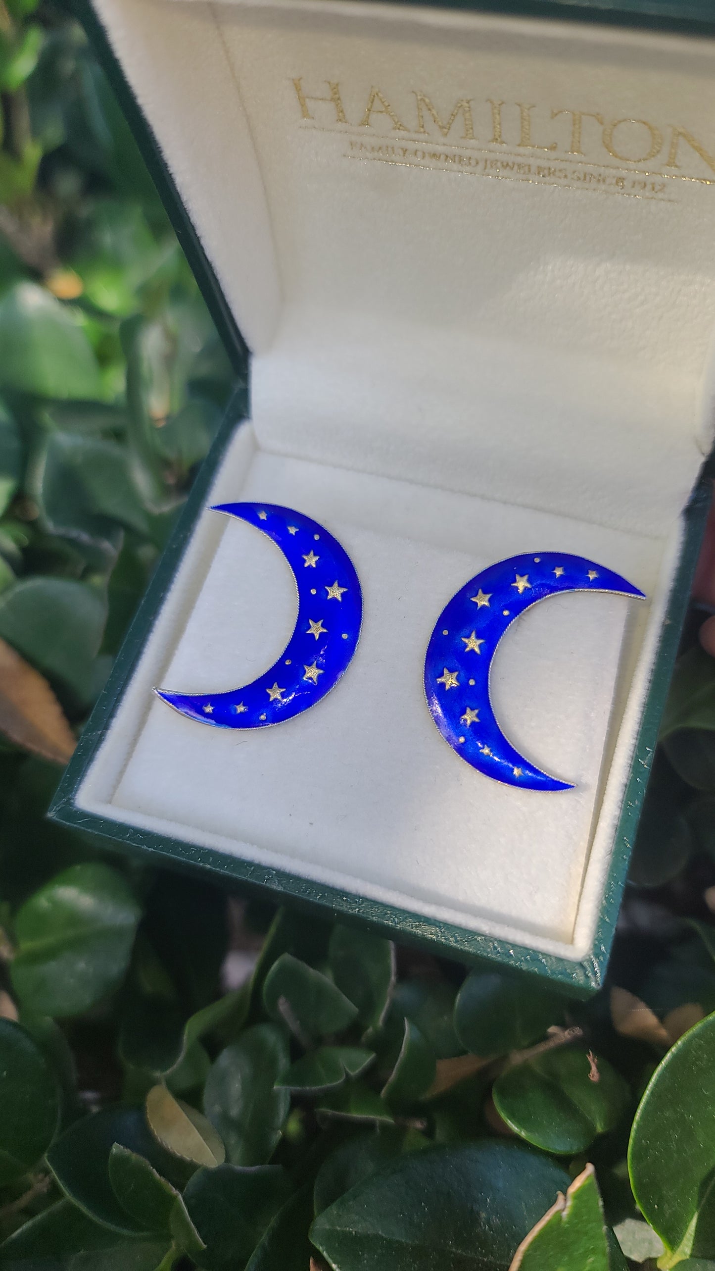 Sterling Silver and Enamel Crescent Moon Earrings