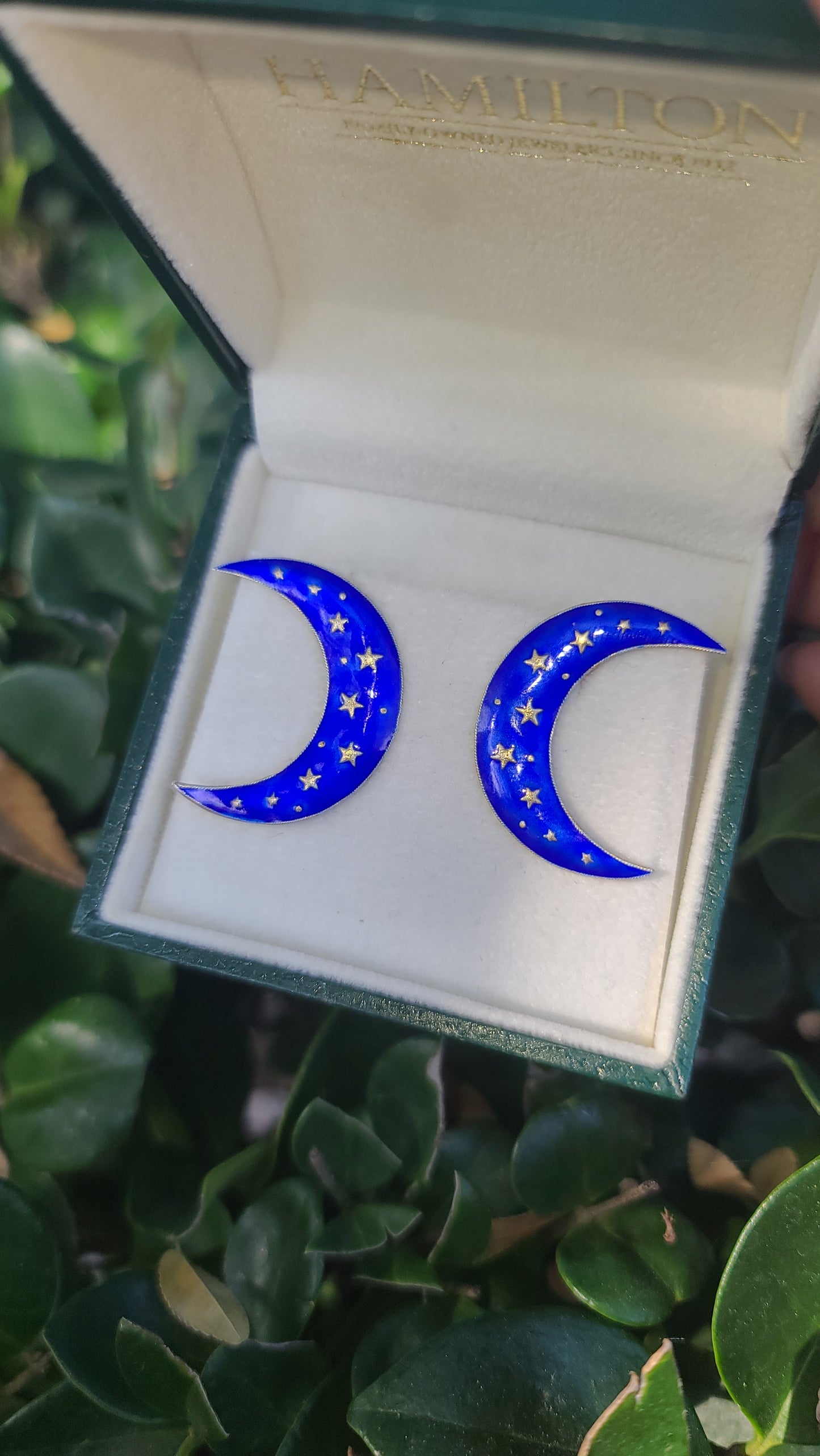 Sterling Silver and Enamel Crescent Moon Earrings
