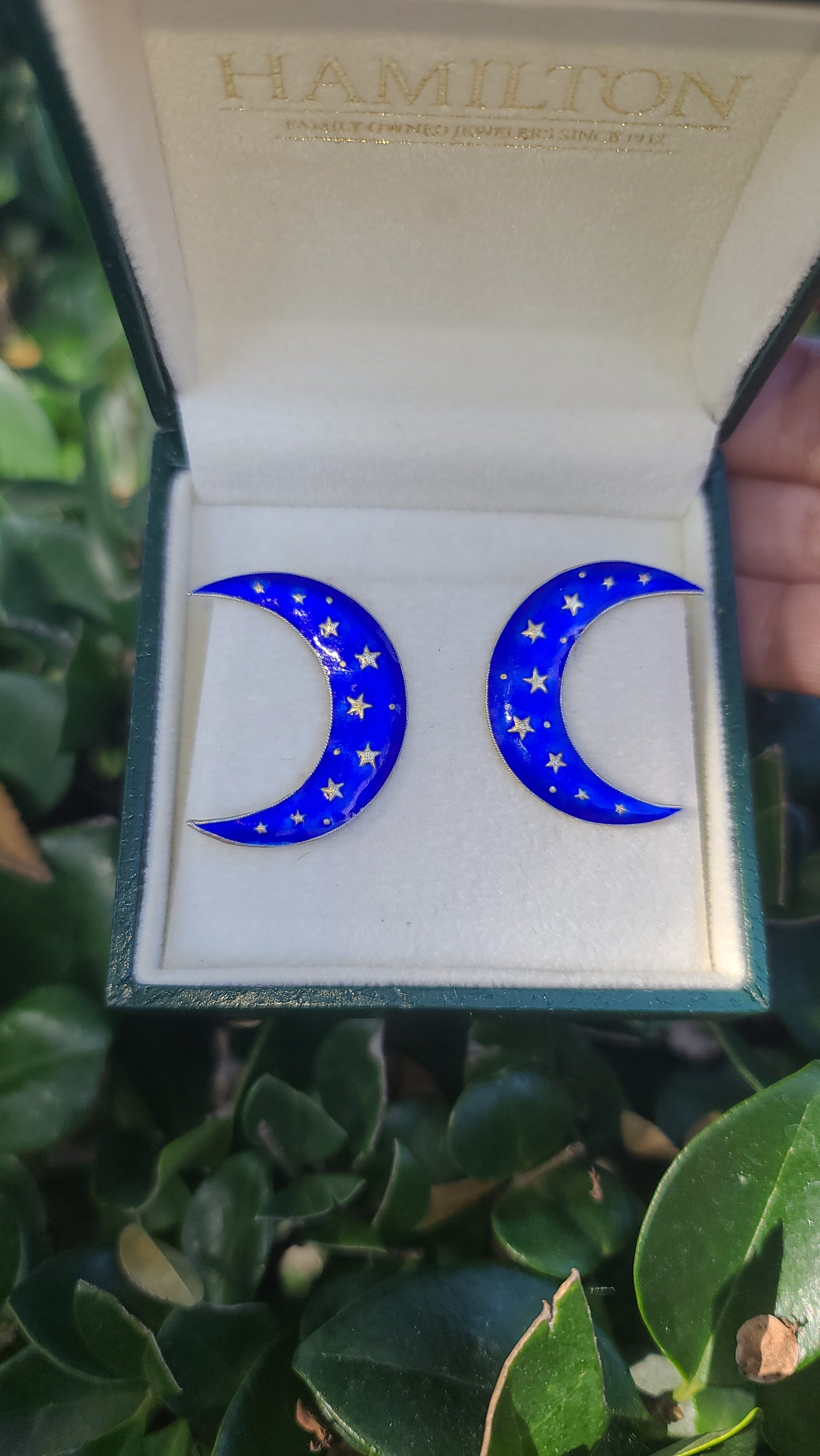 Sterling Silver and Enamel Crescent Moon Earrings