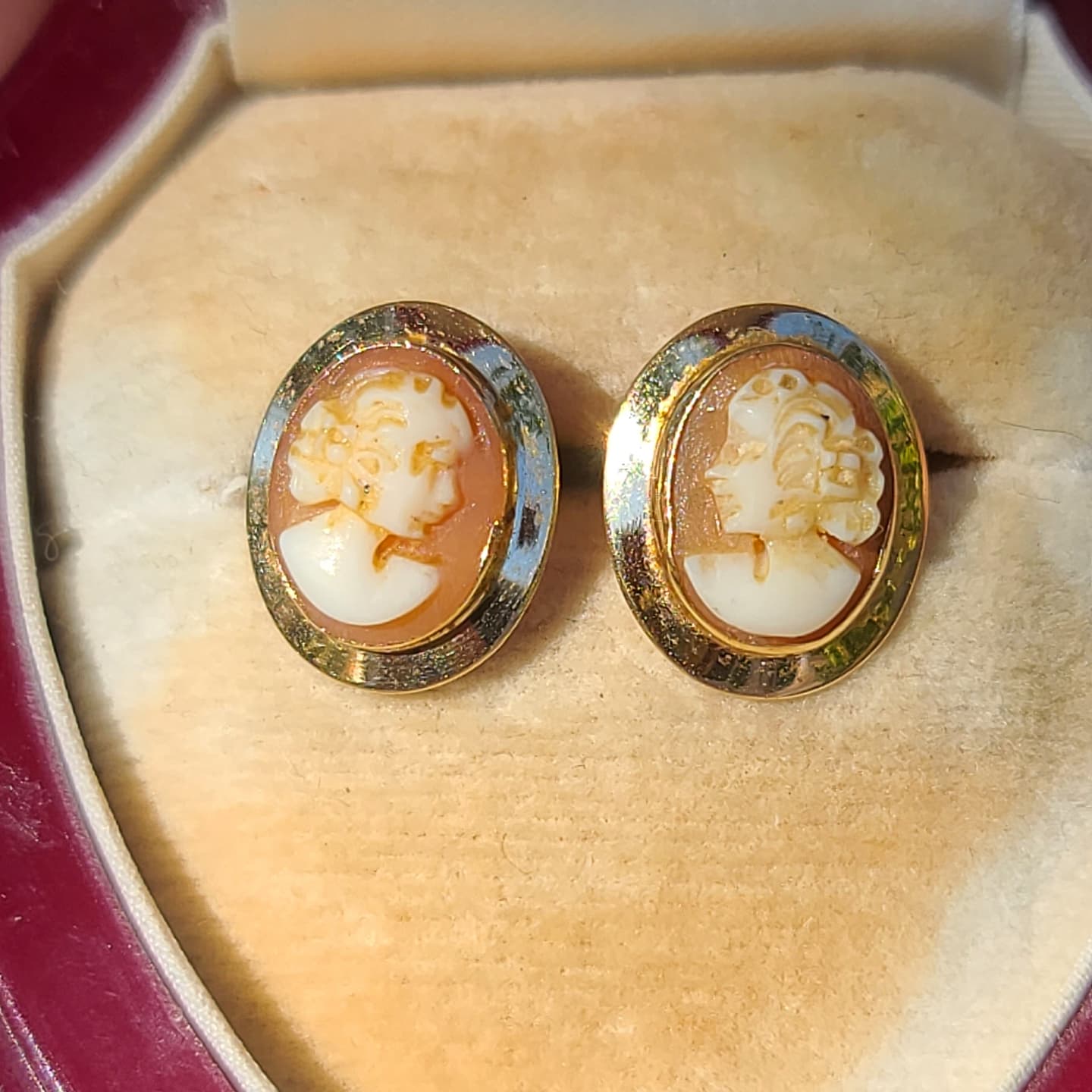 Vintage 14K Yellow Gold Shell Cameo Earrings